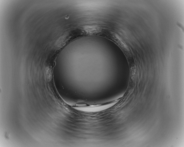 X0000096220471200802011347