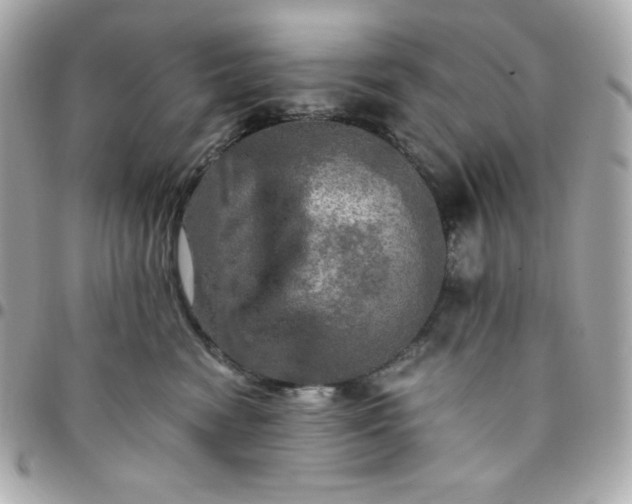 X0000096220474200802011347