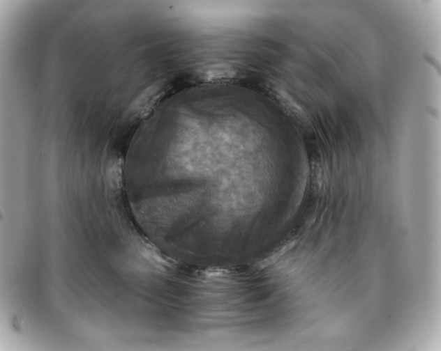 X0000096220475200802011347