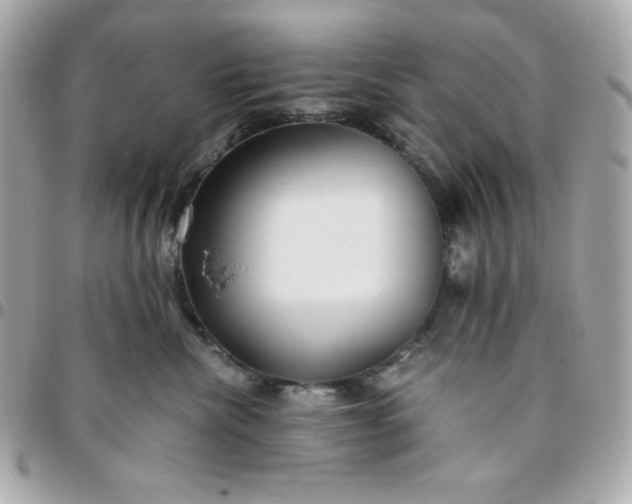 X0000096220476200802011347