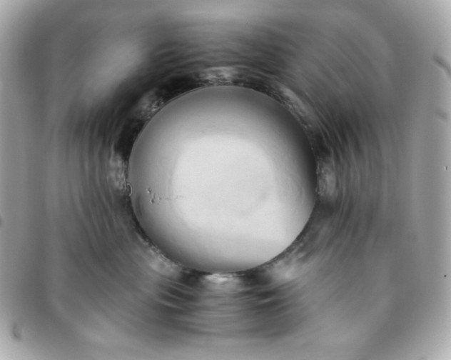 X0000096220477200802011347