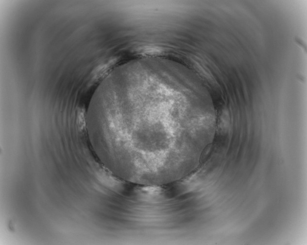 X0000096220478200802011347