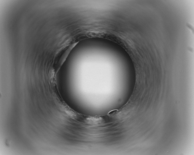 X0000096220480200802011347