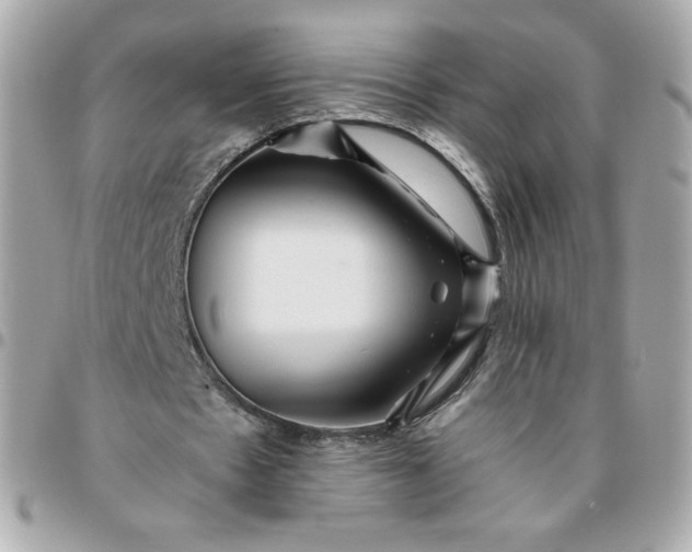 X0000096220481200802011346