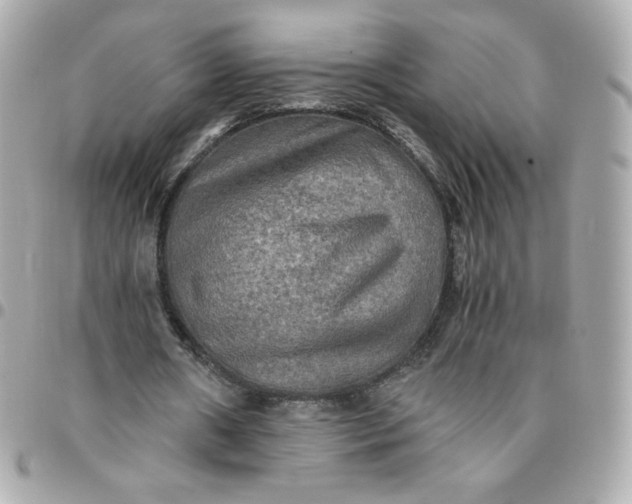 X0000096220482200802011346