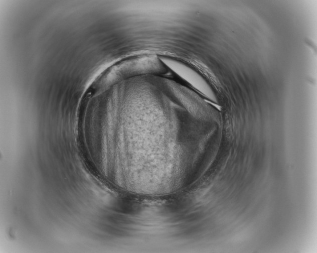 X0000096220484200802011346