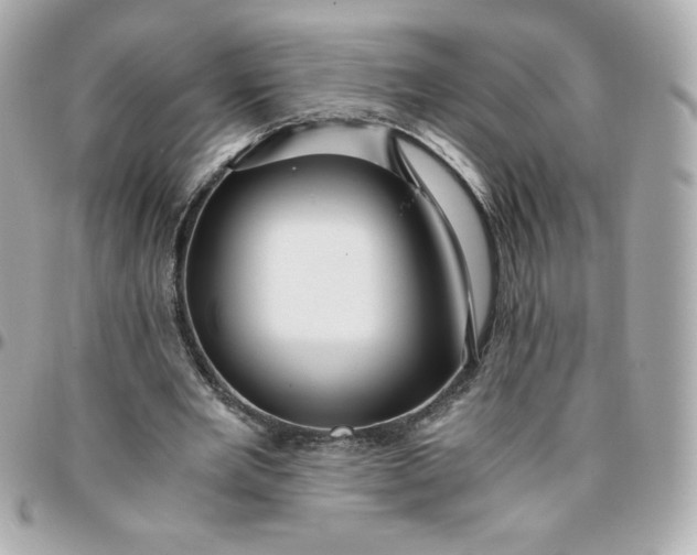 X0000096220485200802011346