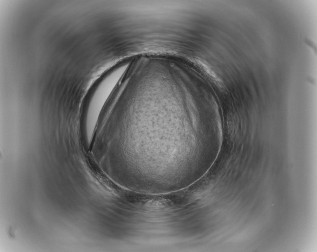 X0000096220488200802011346