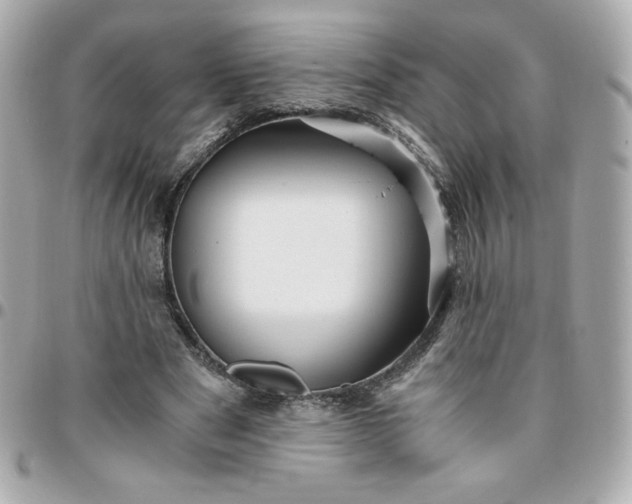 X0000096220489200802011346