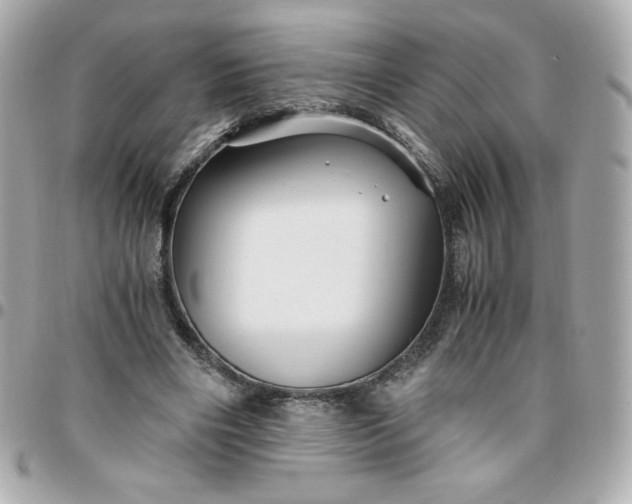 X0000096220490200802011346