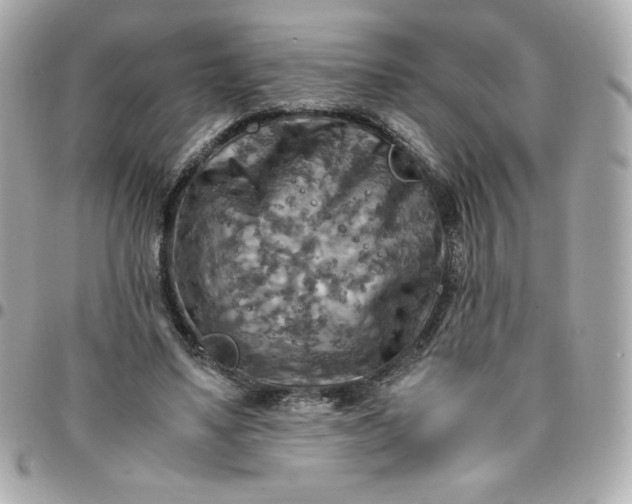 X0000096220491200802011346