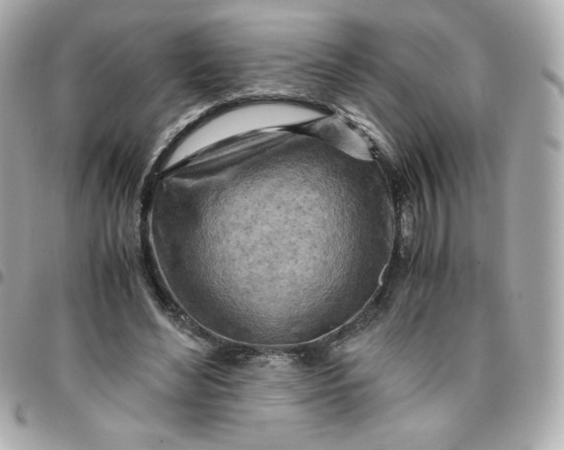 X0000096220492200802011346