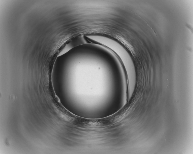 X0000096220493200802011346