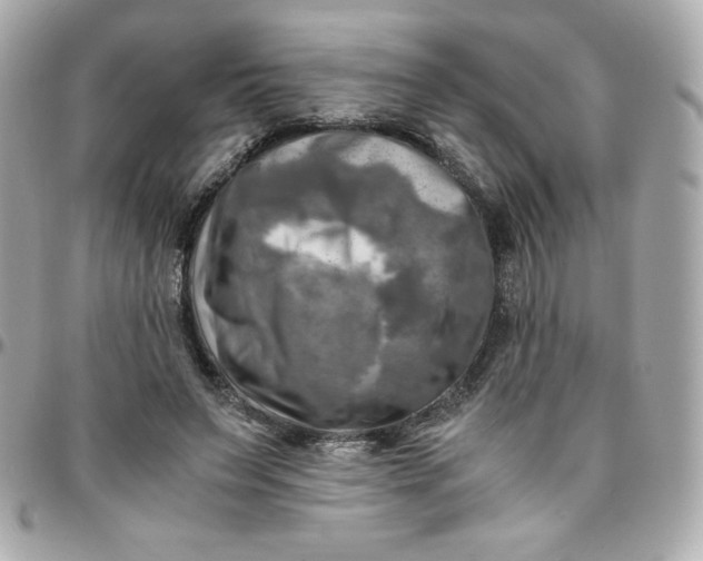 X0000096220495200802011346