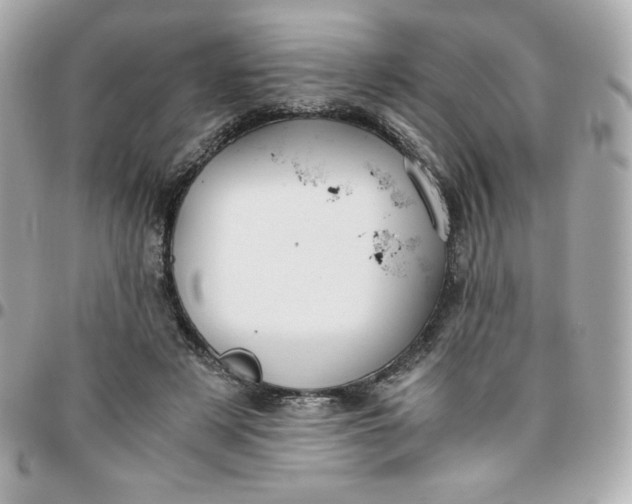 X0000096220497200802011346