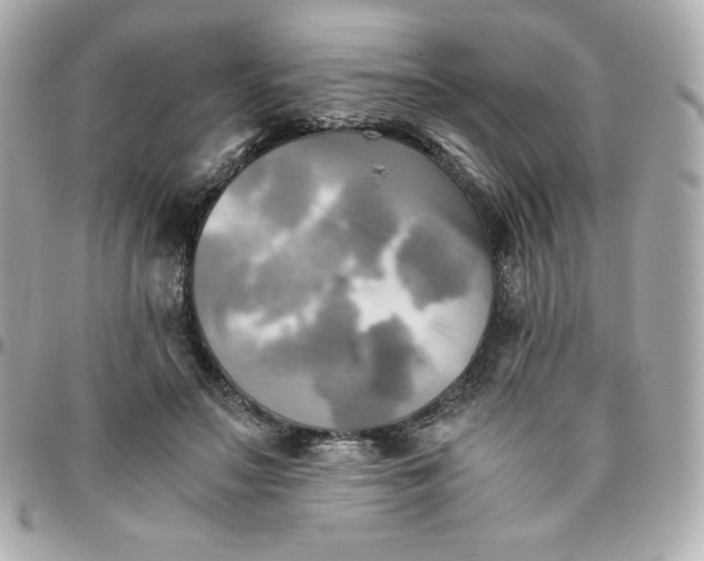 X0000096220499200802011346