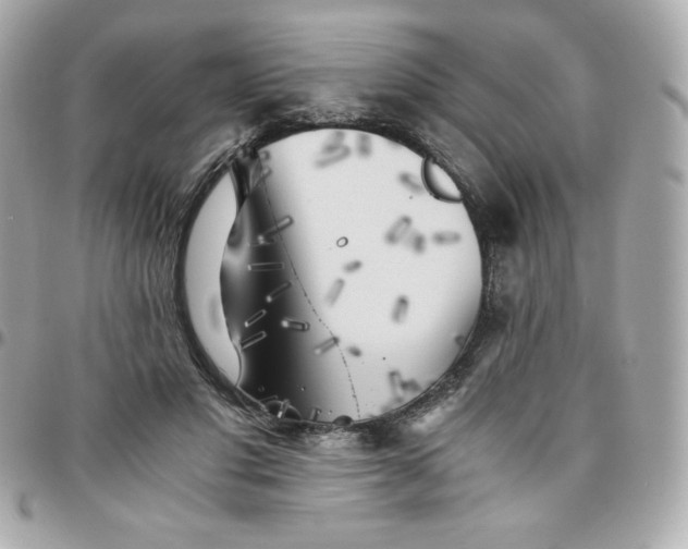 X0000096220501200802011346