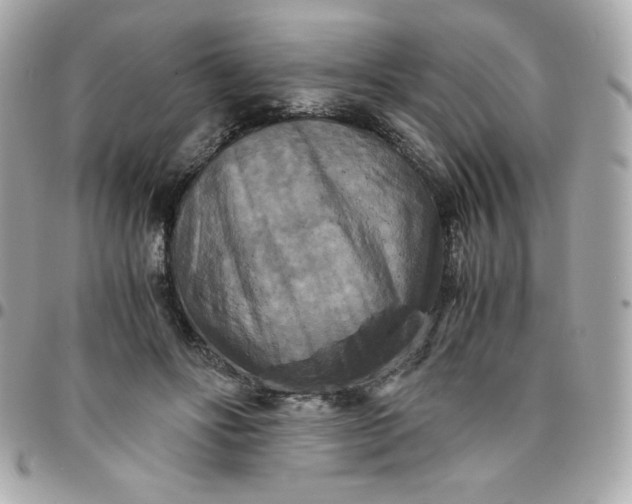 X0000096220502200802011346