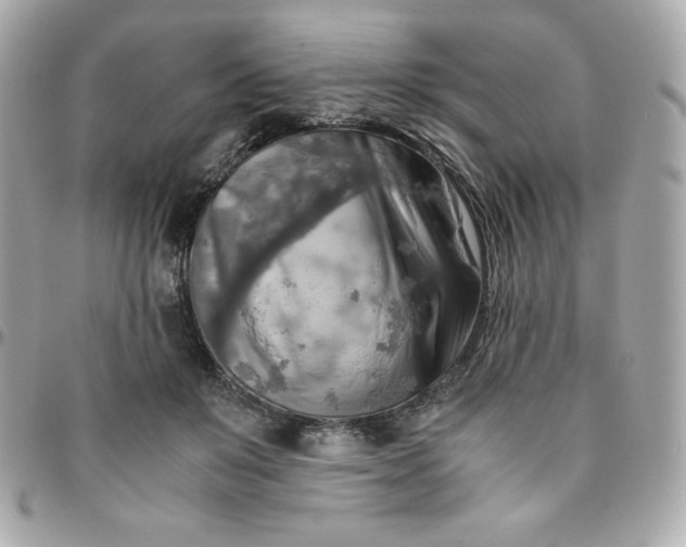 X0000096220503200802011346