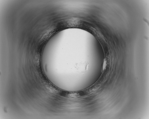 X0000096220505200802011346