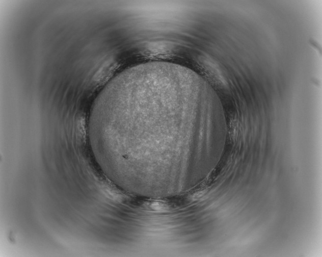 X0000096220506200802011346