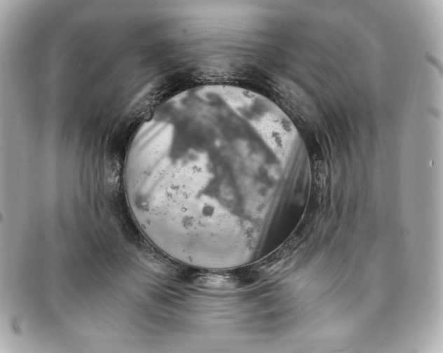 X0000096220507200802011346