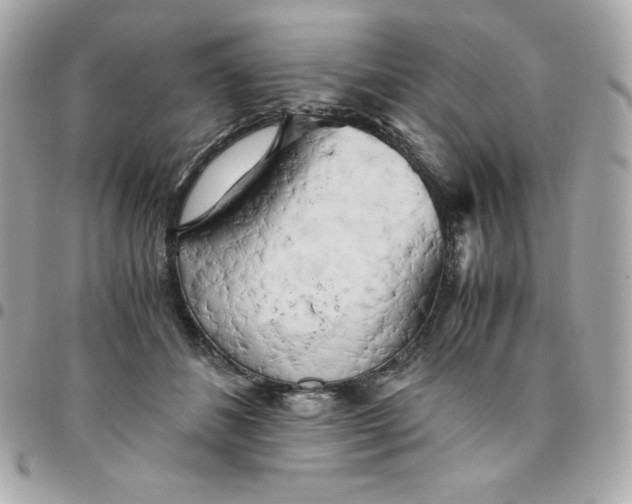 X0000096220508200802011346