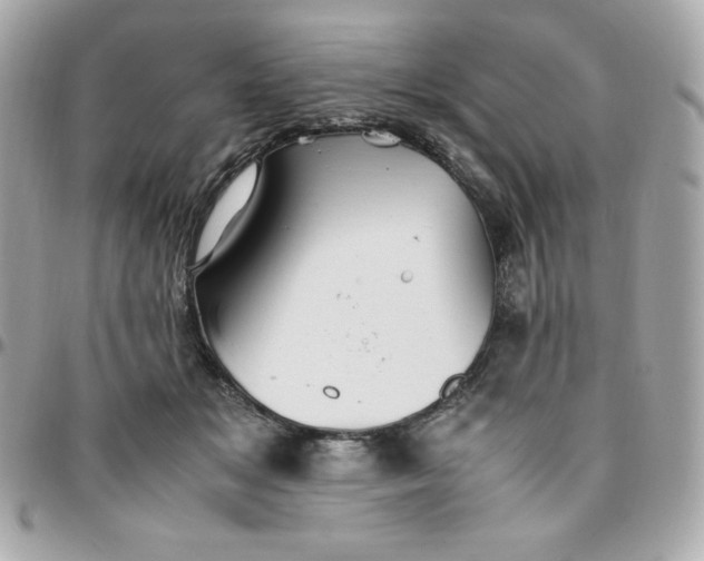 X0000096220509200802011346