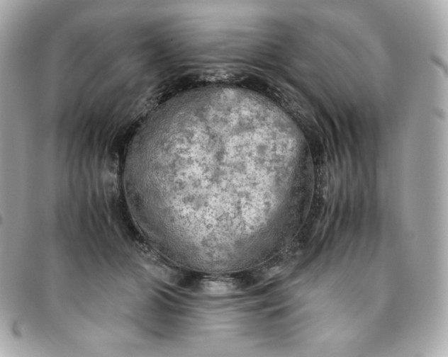 X0000096220510200802011346