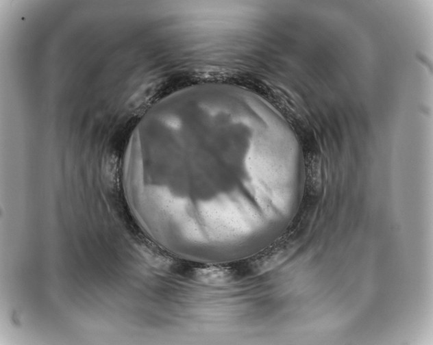 X0000096220511200802011346