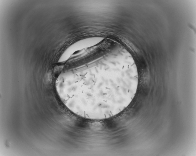 X0000096220513200802011346