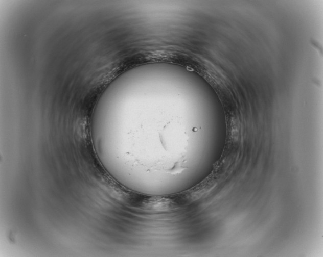 X0000096220514200802011346