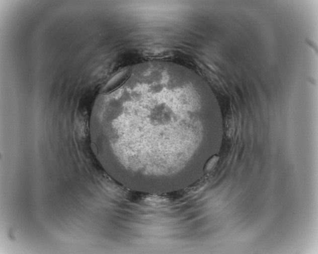 X0000096220515200802011346