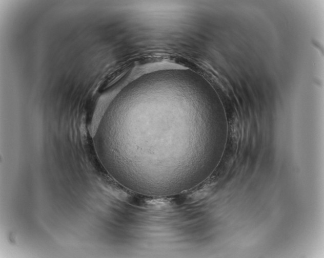 X0000096220516200802011346