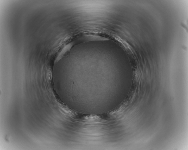 X0000096220517200802011346