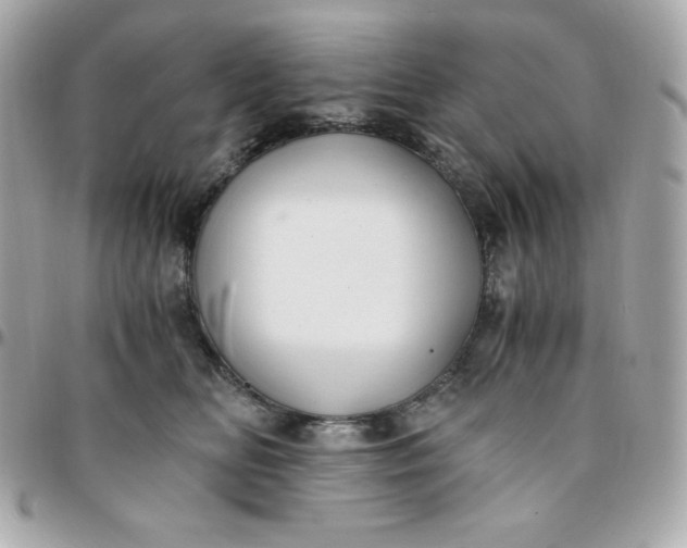 X0000096220518200802011346