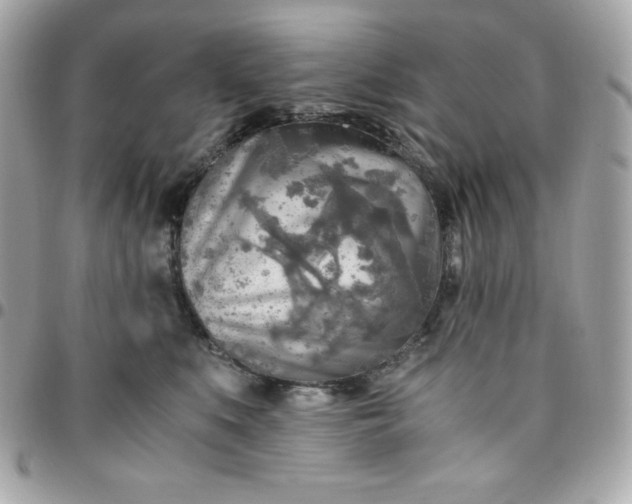 X0000096220519200802011346