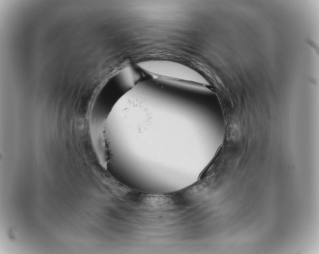 X0000096220521200802011346