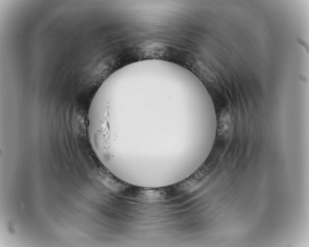 X0000096220522200802011346