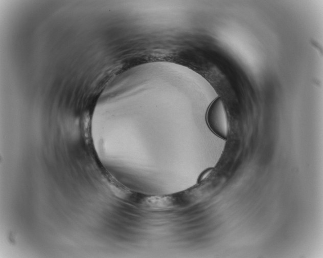 X0000096220526200802011346