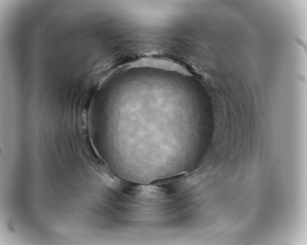 X0000096220528200802011346