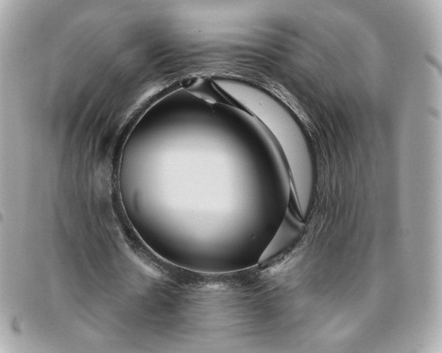 X0000096220530200802011345