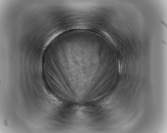 X0000096220531200802011345