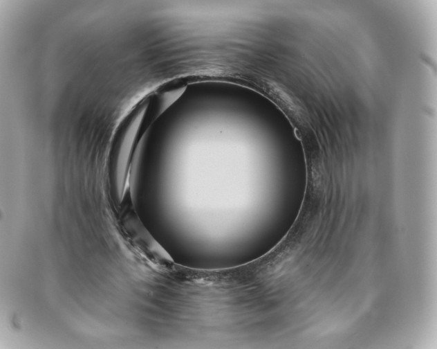 X0000096220532200802011345