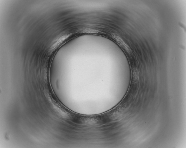 X0000096220533200802011345