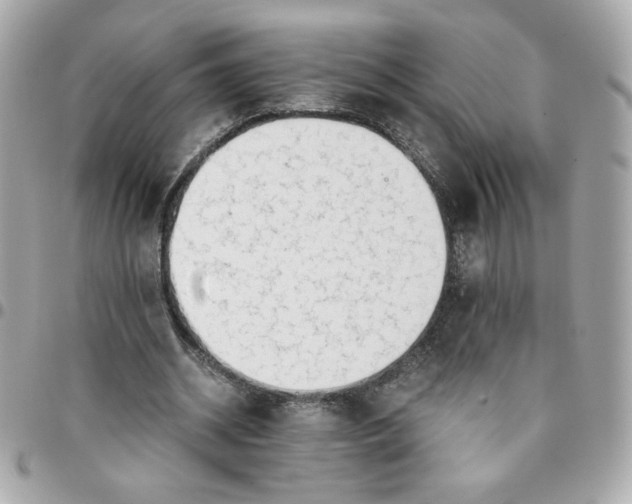 X0000096220534200802011345