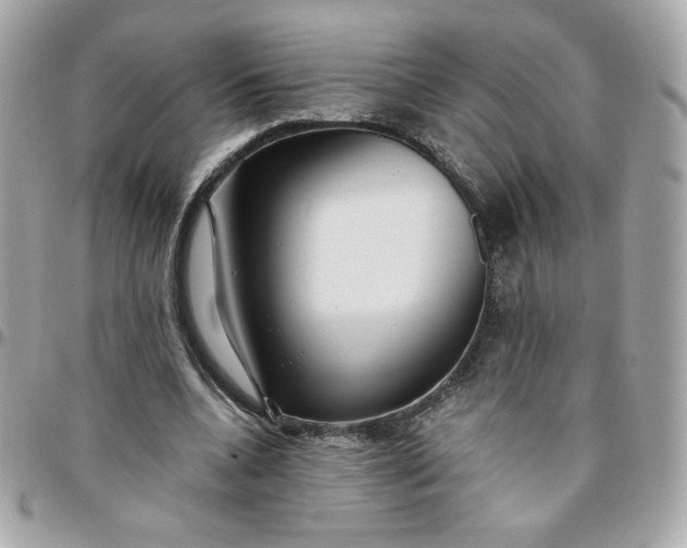 X0000096220536200802011345