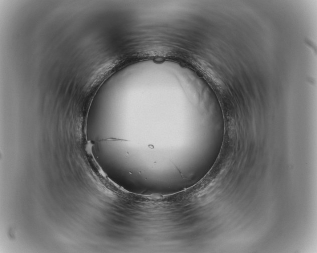 X0000096220537200802011345