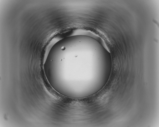 X0000096220538200802011345