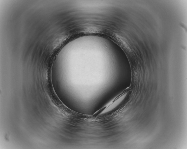 X0000096220539200802011345